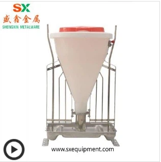 Panda feeder kavu ya mvua